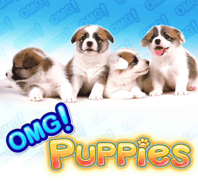 OMG!-Puppies1.png